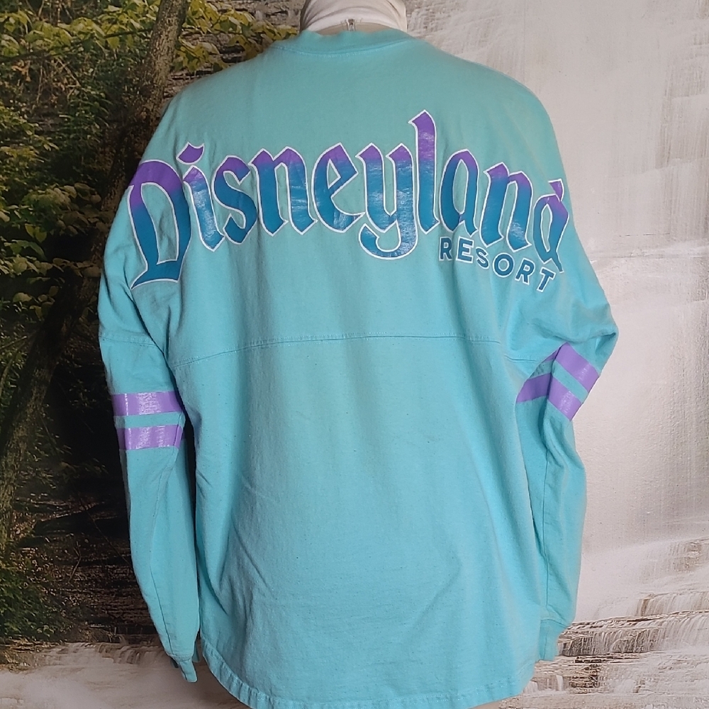 Disneyland Parks Resort Womens XL Teal Purple Striped Long Sleeve Shirt